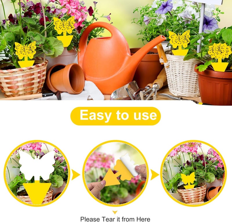 Boromine Fruit Fly Traps, 100 Pack Yellow Sticky Traps, Fungus Gnat Traps, Plant Fly Stickers for Indoor and Outdoor Use Protect The Plant - Image 3